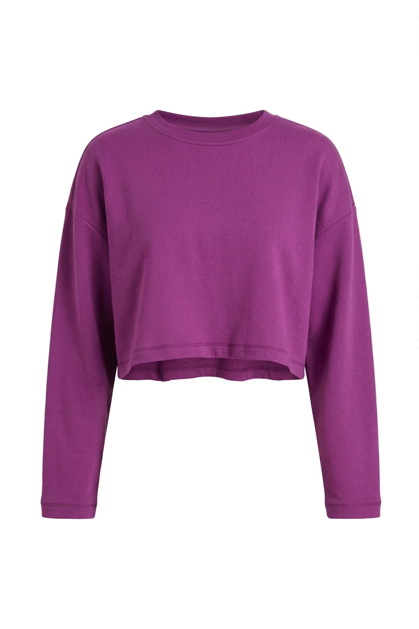 Plum Organic Cotton Oversized Crop Top in vibrant purple, featuring long sleeves and a relaxed cropped design.