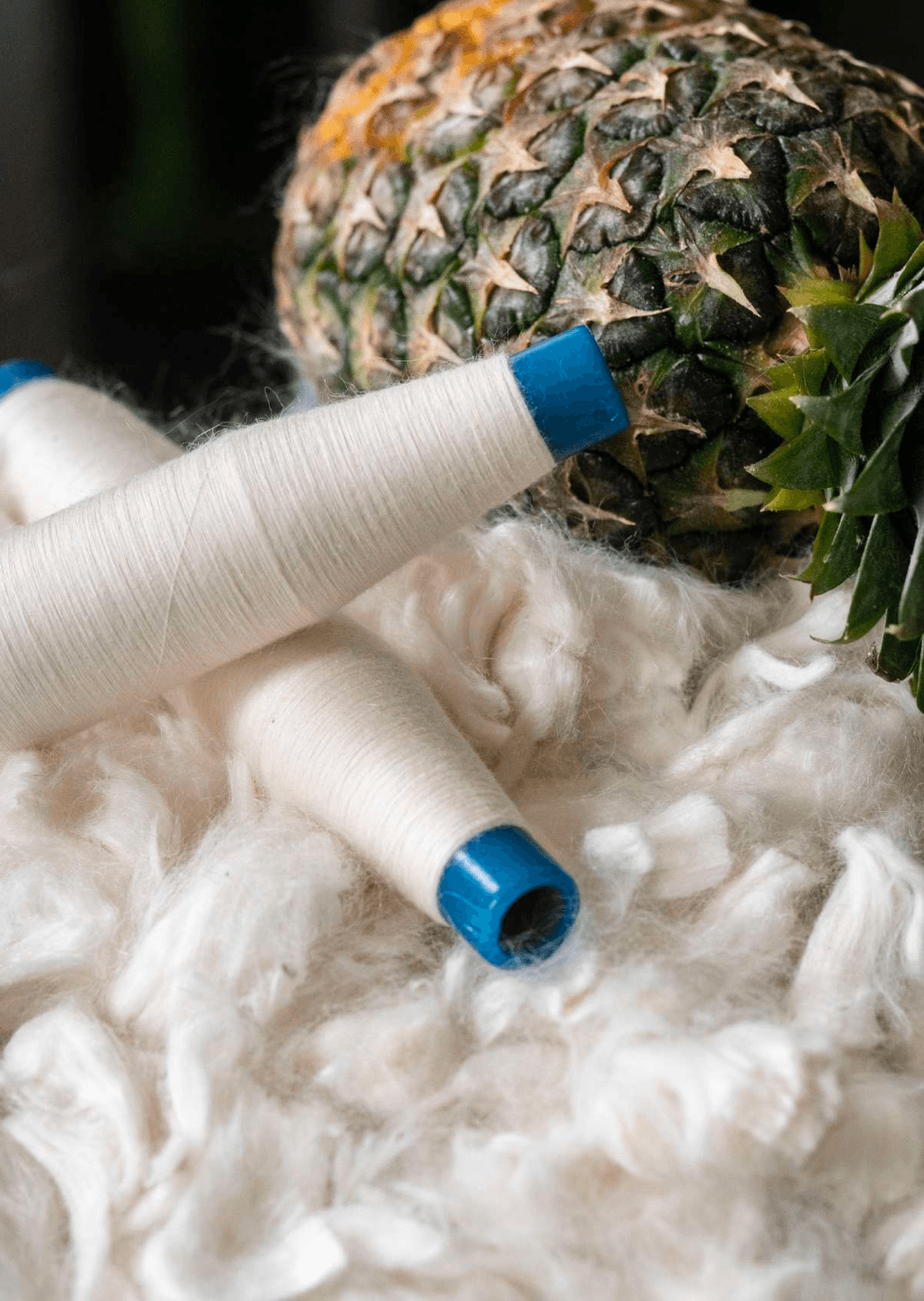 Banana Pineapple Multiway Wrap Top in Ecru with organic cotton and pineapple fibers thread on textured fabric.